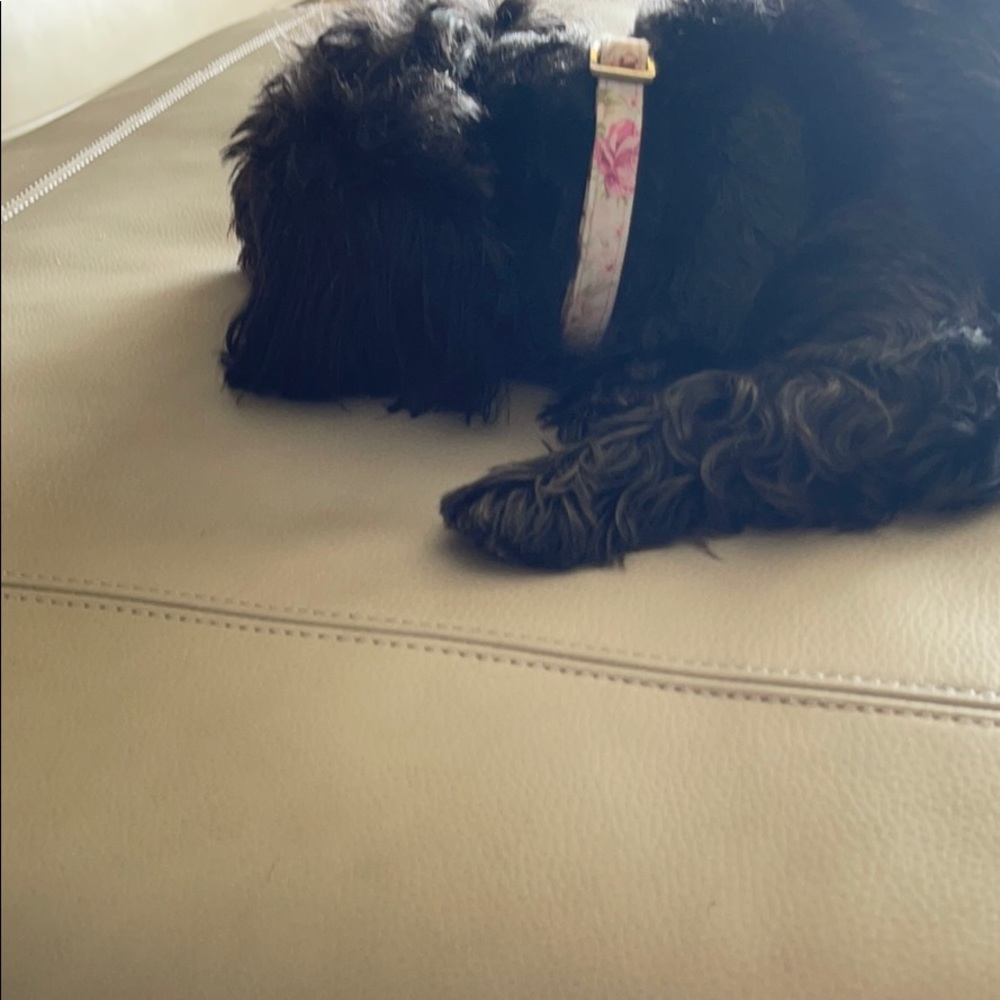 Meet your Posher, Marti